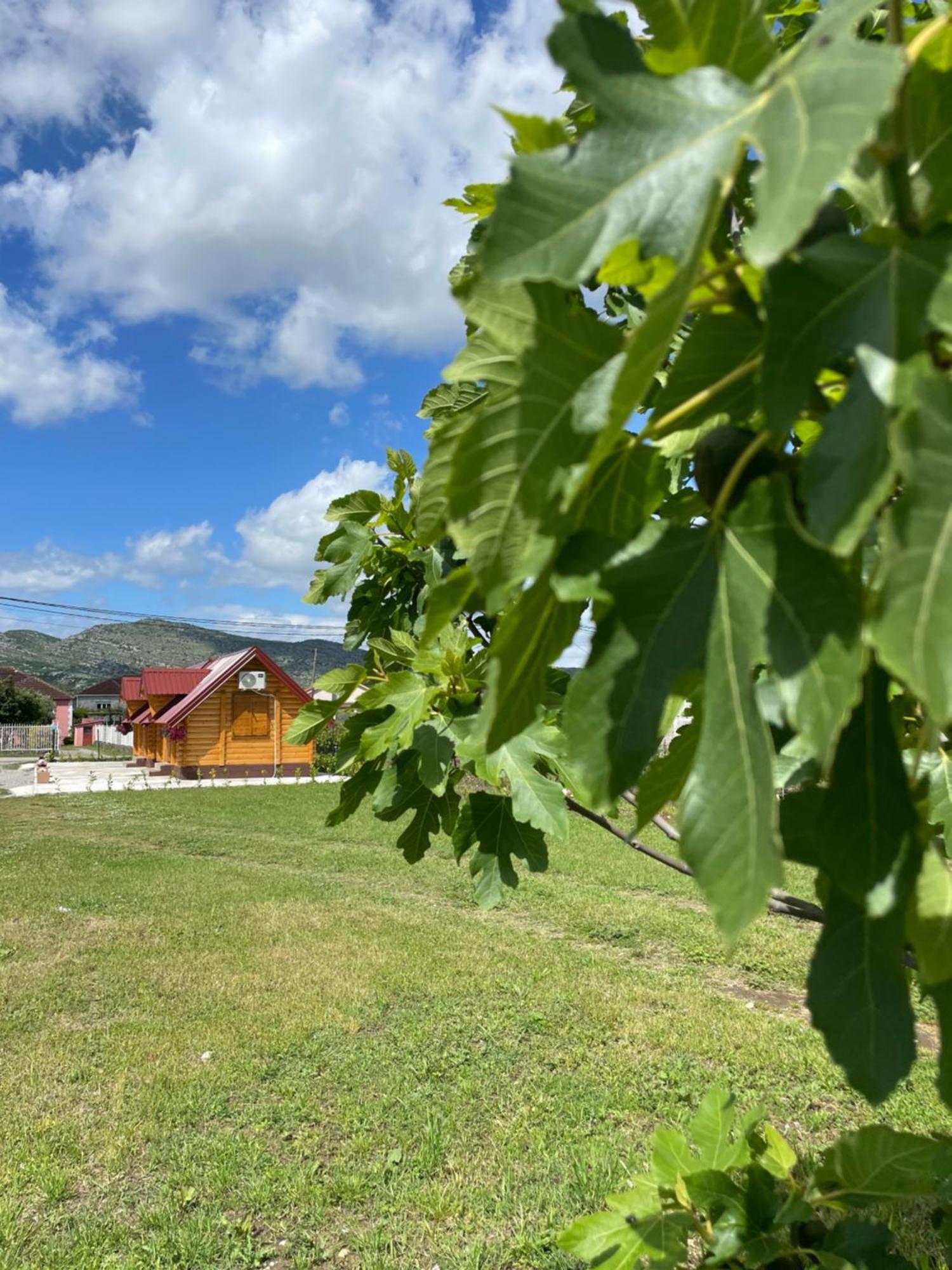 Cozy Bungallows Podgorica Eksteriør bilde